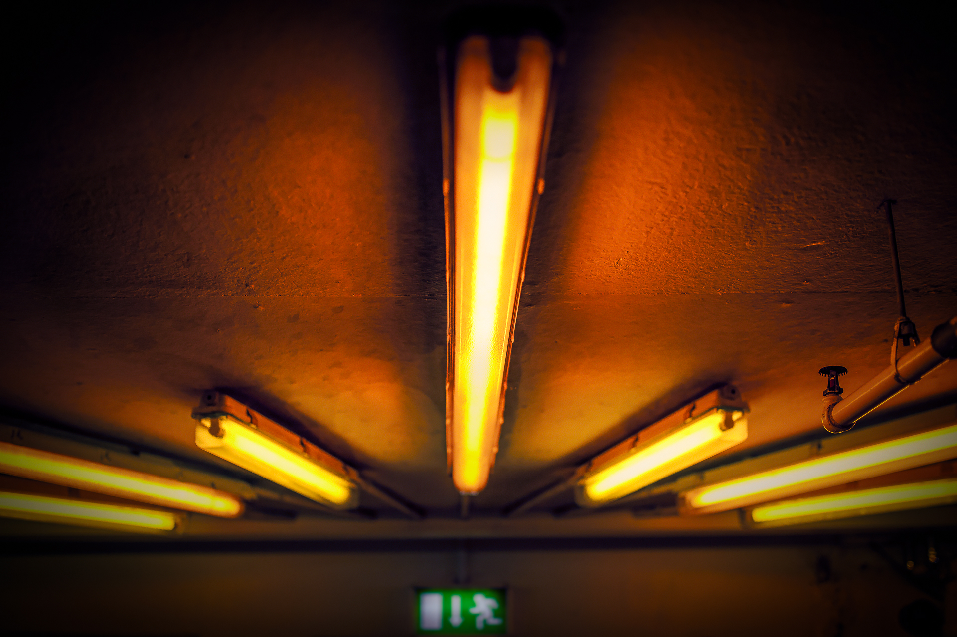 ...visit Monte Baldo.