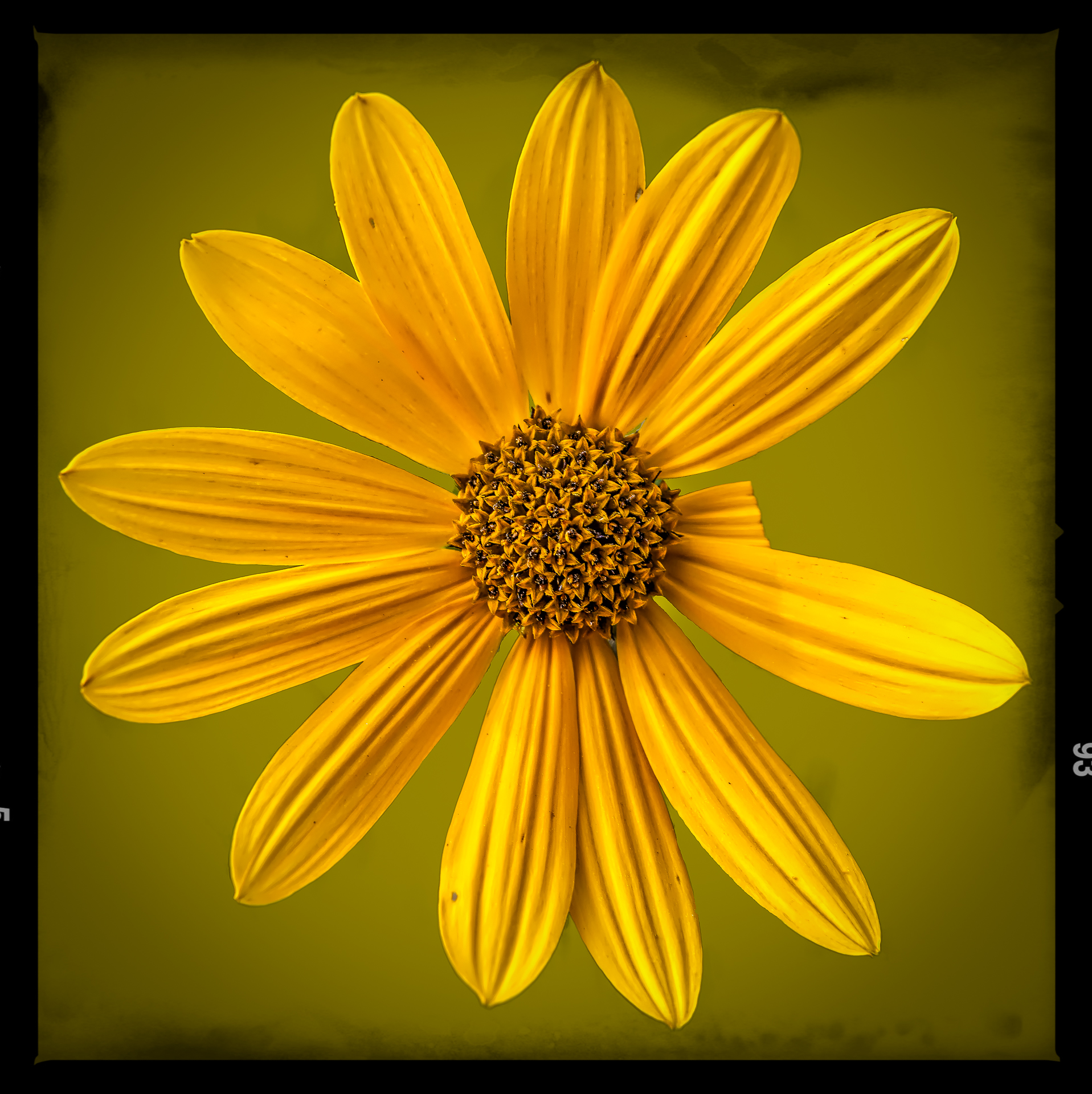 IMG_1903-BA-BA-BA-2-BA.Blog