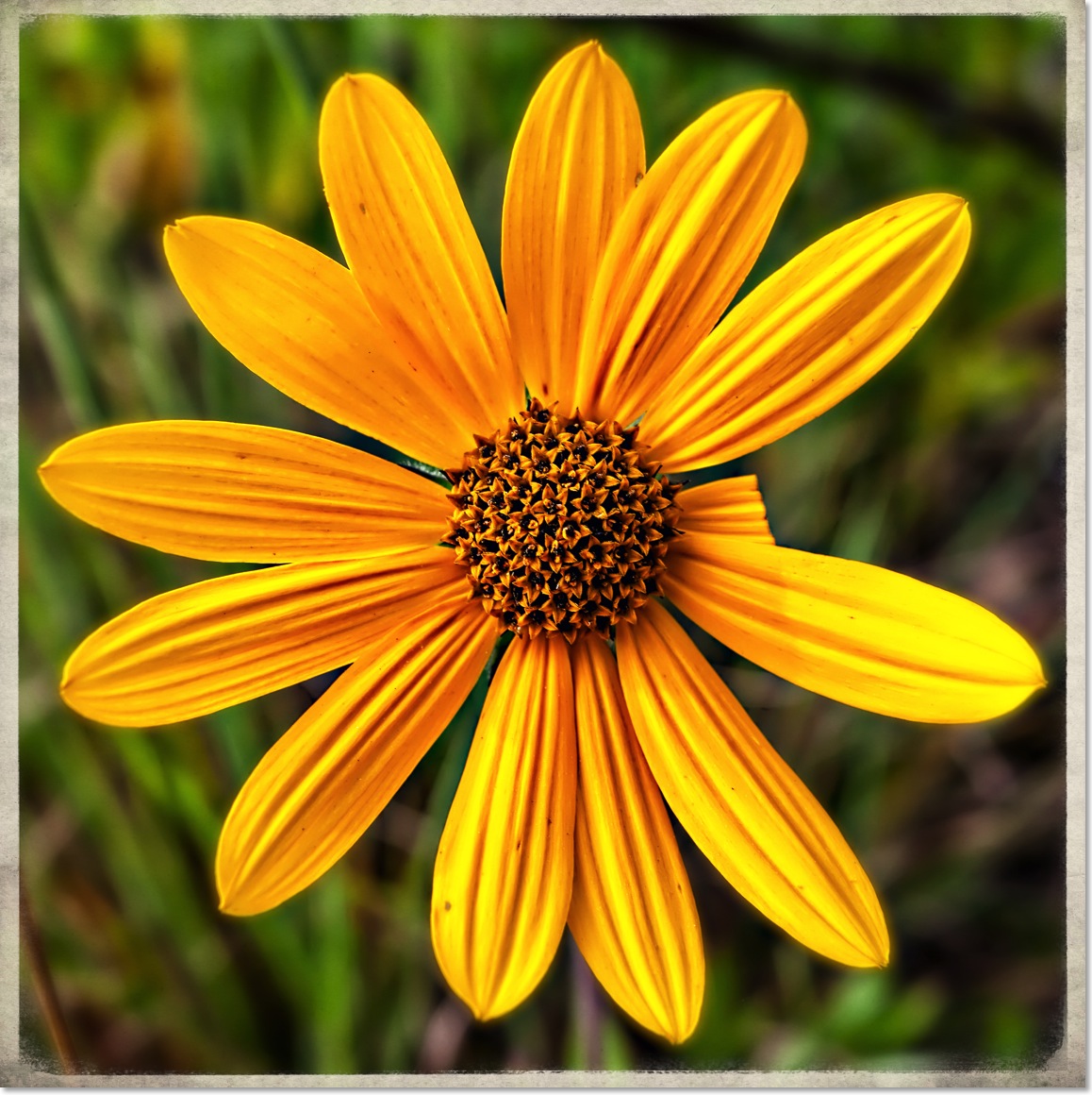 IMG_1903-BA-BA-BA.Blog